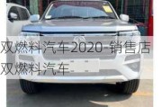 雙燃料汽車2020-銷售店雙燃料汽車