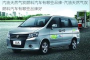 汽油天然氣雙燃料汽車有哪些品牌-汽油天然氣雙燃料汽車有哪些品牌好