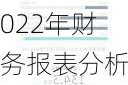 蔚來(lái)汽車(chē)2022年財(cái)務(wù)報(bào)表分析報(bào)告-蔚來(lái)汽車(chē)2022年財(cái)務(wù)報(bào)表