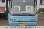 杭州青年汽車有限公司拍賣_杭州青年汽車有限公司