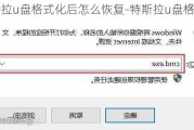 特斯拉u盤格式化后怎么恢復(fù)-特斯拉u盤格式化