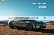 小米汽車叫啥_小米汽車是什么車