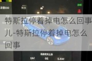 特斯拉停著掉電怎么回事兒-特斯拉停著掉電怎么回事