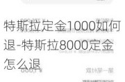 特斯拉定金1000如何退-特斯拉8000定金怎么退