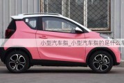 小型汽車指_小型汽車指的是什么車