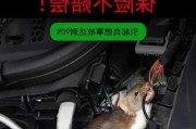 車輛如何防鼠_汽車防鼠妙招是什么