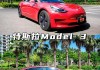 特斯拉model3適合什么人群_特斯拉適合什么人