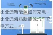 比亞迪新能源如何充電-比亞迪海鷗新能源汽車充電方式