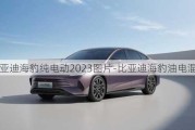 比亞迪海豹純電動2023圖片-比亞迪海豹油電混合