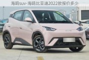 海鷗suv-海鷗比亞迪2022款報(bào)價(jià)多少