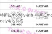 特斯拉modely電池_特斯拉modely電池價(jià)格