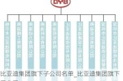 比亞迪集團(tuán)旗下子公司名單_比亞迪集團(tuán)旗下子公司