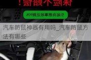 汽車防鼠神器有用嗎_汽車防鼠方法有哪些