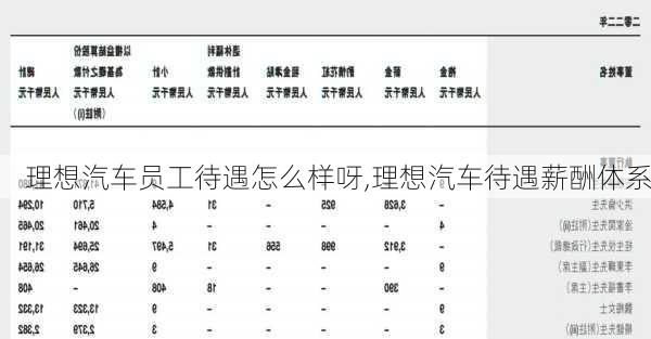 理想汽車員工待遇怎么樣呀,理想汽車待遇薪酬體系