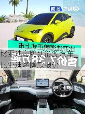 比亞迪海鷗新能源汽車_比亞迪海鷗款報價