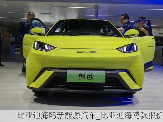 比亞迪海鷗新能源汽車_比亞迪海鷗款報價