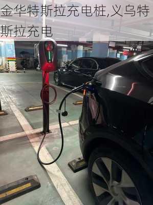 金華特斯拉充電樁,義烏特斯拉充電