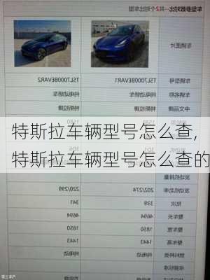 特斯拉車輛型號(hào)怎么查,特斯拉車輛型號(hào)怎么查的