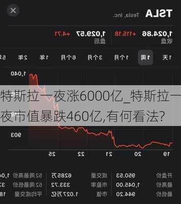 特斯拉一夜?jié)q6000億_特斯拉一夜市值暴跌460億,有何看法?