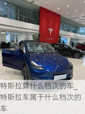 特斯拉算什么檔次的車_特斯拉車屬于什么檔次的車