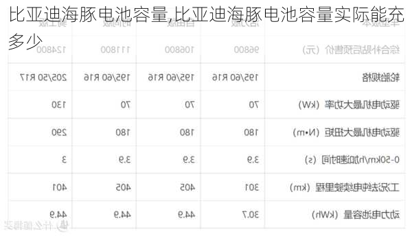 比亞迪海豚電池容量,比亞迪海豚電池容量實際能充多少