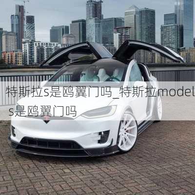 特斯拉s是鷗翼門嗎_特斯拉model s是鷗翼門嗎