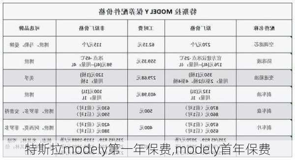 特斯拉modely第一年保費(fèi),modely首年保費(fèi)