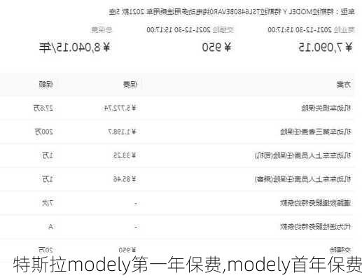 特斯拉modely第一年保費(fèi),modely首年保費(fèi)