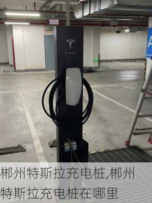 郴州特斯拉充電樁,郴州特斯拉充電樁在哪里