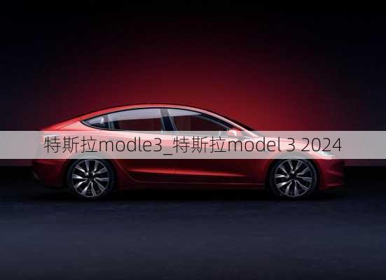 特斯拉modle3_特斯拉model 3 2024