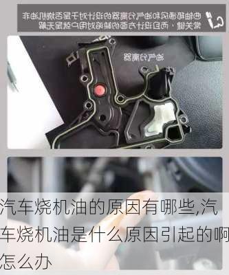 汽車燒機油的原因有哪些,汽車燒機油是什么原因引起的啊怎么辦