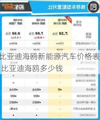 比亞迪海鷗新能源汽車價格表,比亞迪海鷗多少錢