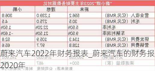 蔚來(lái)汽車2022年財(cái)務(wù)報(bào)表_蔚來(lái)汽車的財(cái)務(wù)報(bào)表2020年