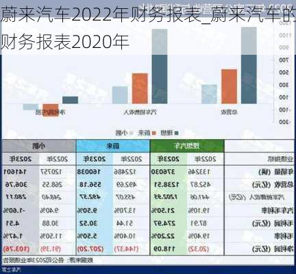 蔚來(lái)汽車2022年財(cái)務(wù)報(bào)表_蔚來(lái)汽車的財(cái)務(wù)報(bào)表2020年