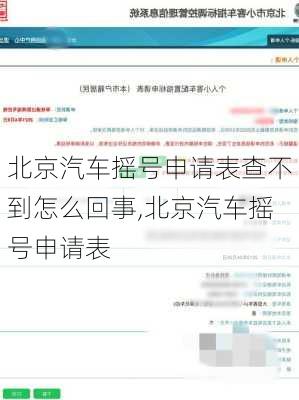 北京汽車搖號申請表查不到怎么回事,北京汽車搖號申請表