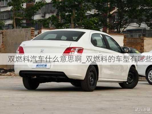 雙燃料汽車什么意思啊_雙燃料的車型有哪些