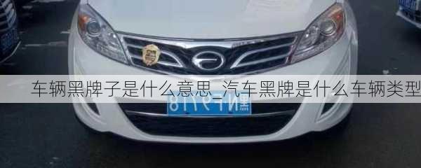 車輛黑牌子是什么意思_汽車黑牌是什么車輛類型