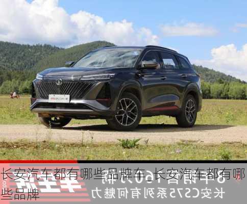 長(zhǎng)安汽車都有哪些品牌車_長(zhǎng)安汽車都有哪些品牌