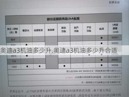 奧迪a3機(jī)油多少升,奧迪a3機(jī)油多少升合適