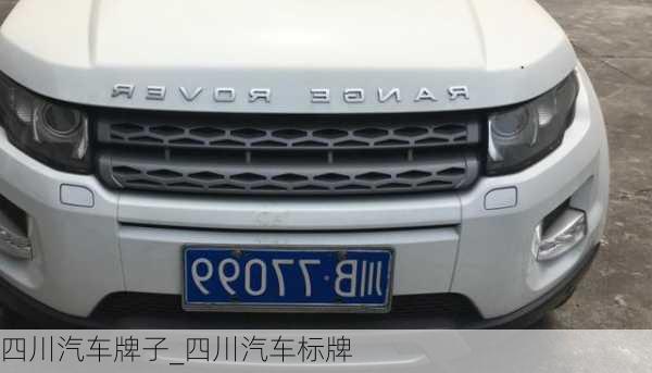 四川汽車牌子_四川汽車標(biāo)牌