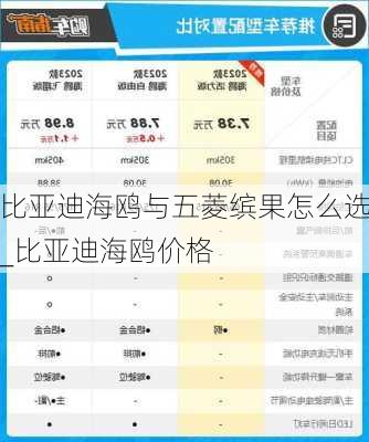 比亞迪海鷗與五菱繽果怎么選_比亞迪海鷗價格