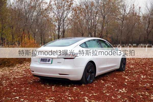 特斯拉model3曝光_特斯拉model3實(shí)拍