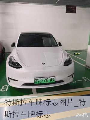 特斯拉車牌標志圖片_特斯拉車牌標志