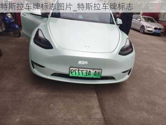 特斯拉車牌標志圖片_特斯拉車牌標志