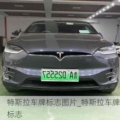 特斯拉車牌標志圖片_特斯拉車牌標志