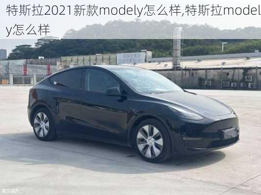 特斯拉2021新款modely怎么樣,特斯拉modely怎么樣