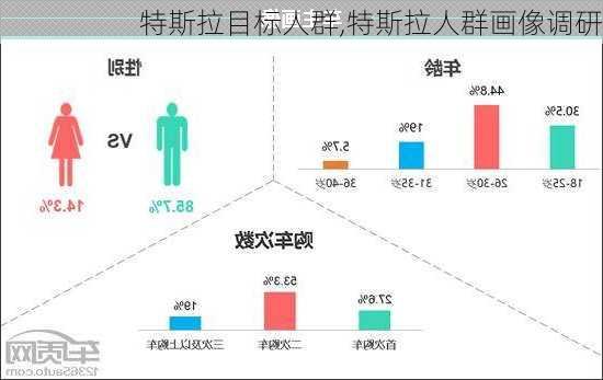 特斯拉目標(biāo)人群,特斯拉人群畫像調(diào)研