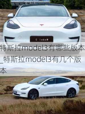 特斯拉model3有哪些版本_特斯拉model3有幾個版本