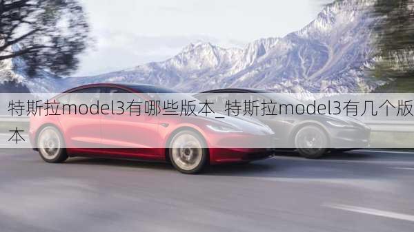 特斯拉model3有哪些版本_特斯拉model3有幾個版本