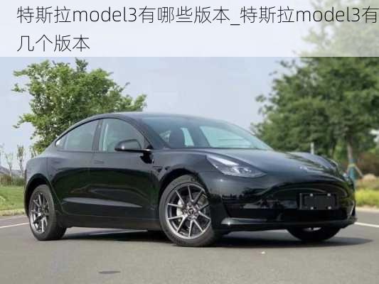 特斯拉model3有哪些版本_特斯拉model3有幾個版本